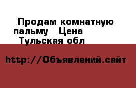 Продам комнатную пальму › Цена ­ 1 500 - Тульская обл.  »    